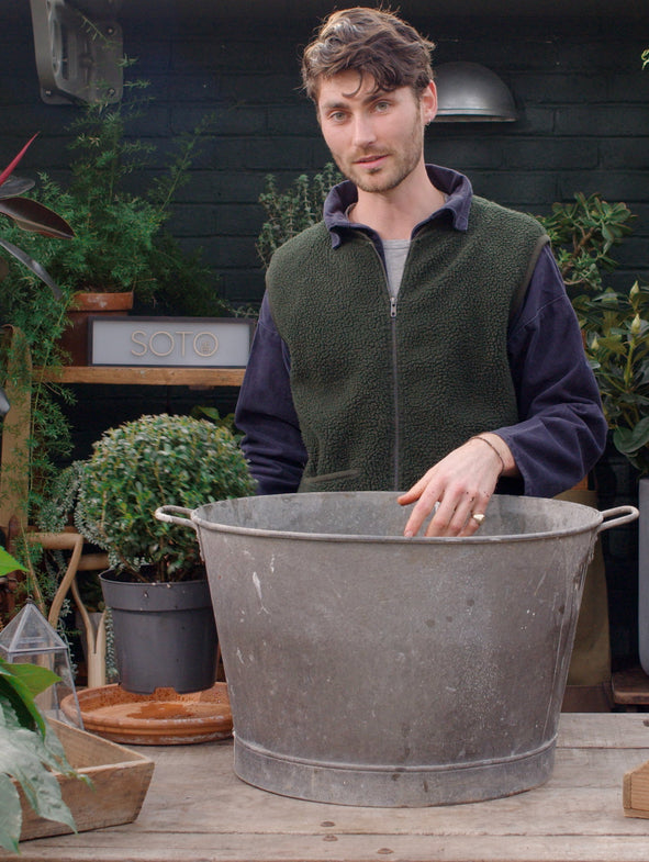 Receiving your plant order